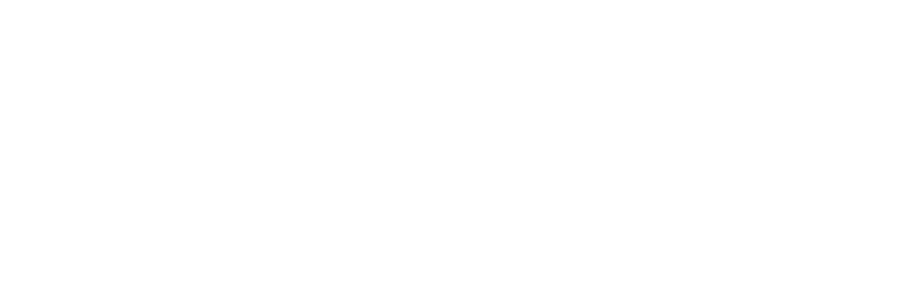 Montiso Footer Logo